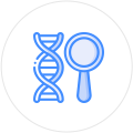 Icon Sector Icon Sector